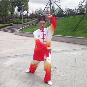 Դͳʽ̫ȭ ͳʽ̫-ɽñĽ̫ȭƵ ...