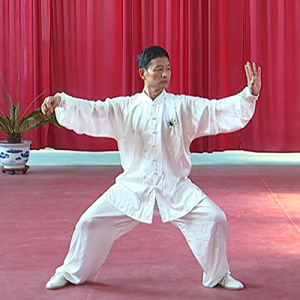 ־ ʽ̫ȭ-ɽñĽ̫ȭƵƷ