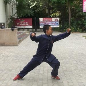 ʽ̫ȭϼһ·-ɽñĽ̫ȭƵƷ