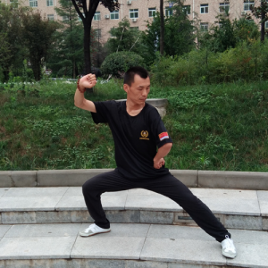 µͳ̫ȭһ·ʮʽ-ɽñĽ̫ȭƵ  ...