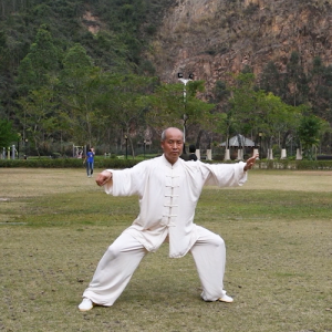 Ǹߴͳ̫ȭ-ɽñĽ̫ȭƵƷ