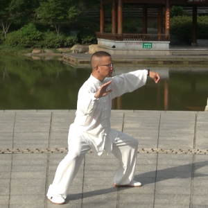 ݳʽ̫ȭϼһ·74ʽ-ɽñĽ̫ȭƵ  ...