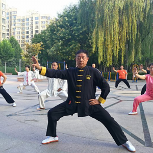 񺣳ʽ̫ȭ-ɽñĽ̫ȭƵƷ