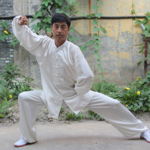 ̳ʽ̫ȭ-ɽñĽ̫ȭƵƷ