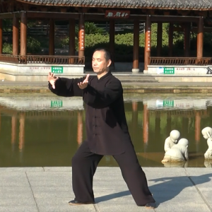 ƽʽԱ·28ʽ-ɽñĽ̫ȭƵƷ