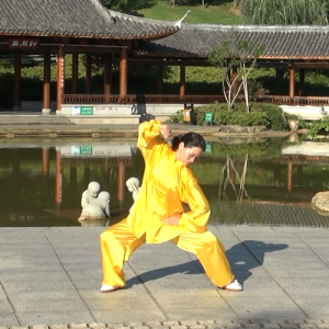 ǳʽ̫ȭϼһ·74ʽ-ɽñĽ̫ȭƵ  ...