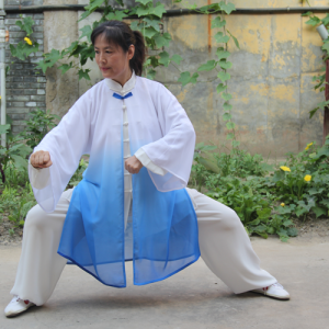 ʽ̫ȭ -ɽñĽ̫ȭƵƷ