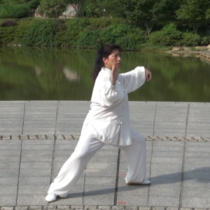 誳ʽ̫ȭϼһ·74ʽɽñĽ̫ȭƵƷ