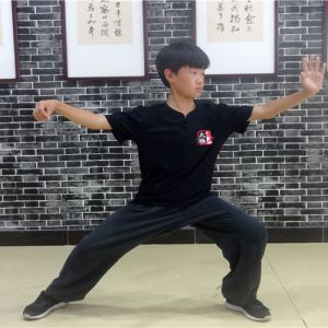 Ȩʽ̫ȭ-ɽñĽ̫ȭƵƷ