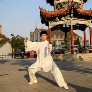 ȳʽ̫ȭ ʽ̫-ɽñĽ̫ȭƵ ...