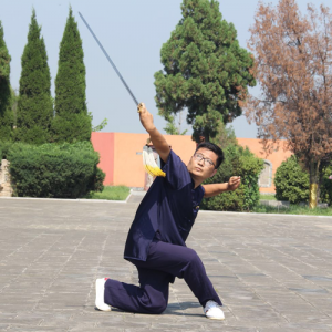 ν ʽ̫ȭѡ· ̫-ɽñĽ̫ȭƵ ...