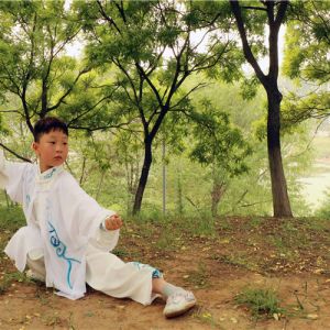 ɭҼʽ̫ȭ ʽ̫-ɽñĽ̫ȭƵ ...