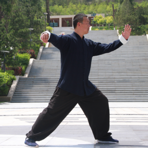 ʮʽ̫ȭ-ɽñĽ̫ȭƵƷ