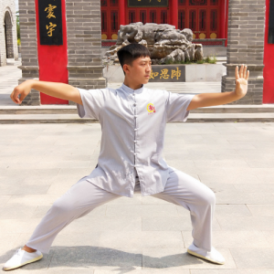 ˾ϻԳʽ̫ȭϼһ· 49ʽ̫-ɽñĽ̫ȭƵ ...