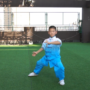 ʽ̫ȭ-ɽñĽ̫ȭƵƷ