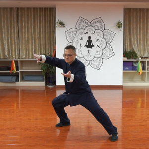 ˾ʽ̫ȭ-ɽñĽ̫ȭƵƷ