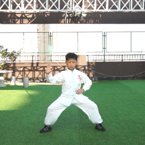 ʽ̫ȭ-ɽñĽ̫ȭƵƷ