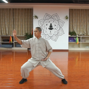 Ƴʽ̫ȭ-ɽñĽ̫ȭƵƷ