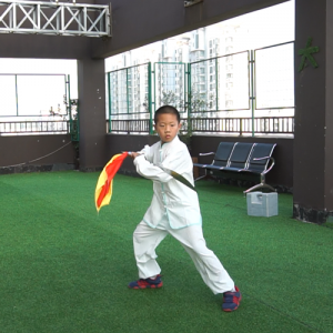 Ƴʽ̫-ɽñĽ̫ȭƵƷ