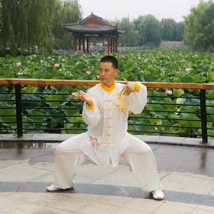  ͳʽ̫ȭ·-ɽñĽ̫ȭƵƷ