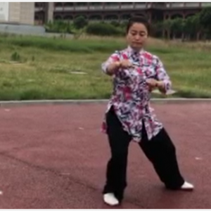 ʽ̫ȭС-ɽñĽ̫ȭƵƷ