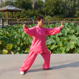 ά ʽͳ28ʽ-ɽñĽ̫ȭƵƷ