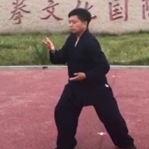 ǰʽ̫ȭ-ɽñĽ̫ȭƵƷ