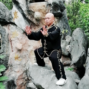 ޼ʽԪ̫ȭ24ʽ-ɽñĽ̫ȭƵ ...