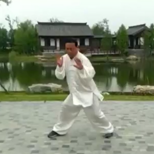 ʿʽ̫ȭС-ɽñĽ̫ȭƵƷ