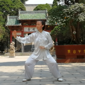 ʯʽ̫ȭС-ɽñĽ̫ȭƵƷ