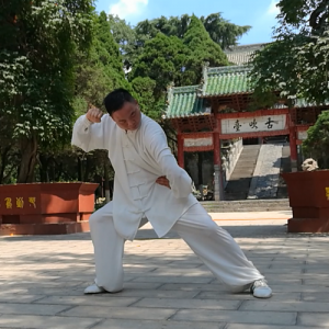 ë޳ʽ̫ȭС-ɽñĽ̫ȭƵƷ