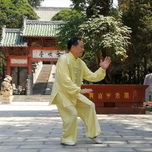 ºʽ̫ȭС-ɽñĽ̫ȭƵƷ