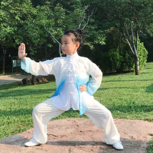 һ ʽ̫ȭϼܶ·-ɽñĽ̫ȭƵƷ