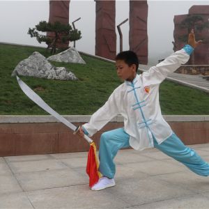 ˳ʽ̫-ɽñĽ̫ȭƵƷ