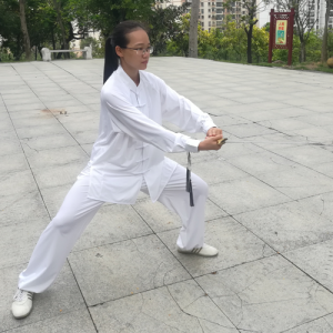 ƷƳʽ̫ȭϼʮʽ-ɽñĽ̫ȭƵƷ