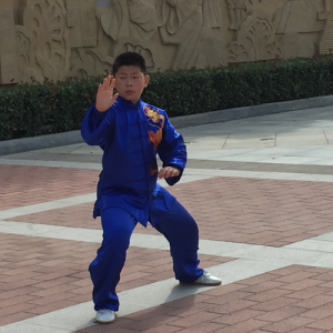 ҺƳʽ̫ȭ-ɽñĽ̫ȭƵƷ