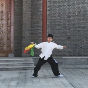 ͳ̫ȭ ̫-ɽñĽ̫ȭƵ ...