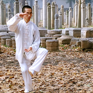 ڳʽ̫ȭ-ɽñĽ̫ȭƵƷ