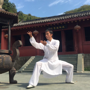 䵱̫-ɽñĽ̫ȭƵƷ