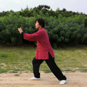 ̫ȭʮ·-ɽñĽ̫ȭƵ ...