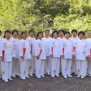 㶫˳̫ȭЭм̫-ɽñĽ̫ȭƵ ...