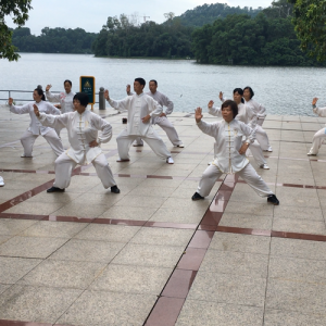 㶫ʡ̫޹ݳʽ̫ȭϼһ·-ɽñĽ̫ȭƵ ...