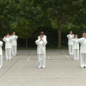 ֧ϵʯׯгȭרίԣͮվͳʽ̫ȭ·-ɽñĽ  ...