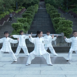 ݸ̫ٶʽ̫ȭ·ڴ-ɽñĽ̫ȭƵ ...