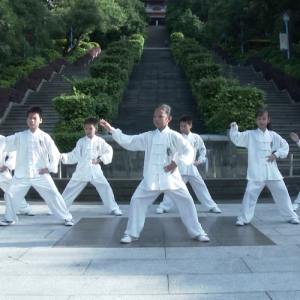 ݸ̫ٶ ʽ̫ȭ·ڴ-ɽñĽ̫ȭƵ ...