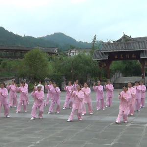 ֱ̫ȭЭ24 ͳϾѡ28ʽ-ɽñĽ̫ȭƵ ...