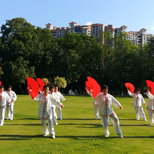 ݶ̫ȭЭ̫-ɽñĽ̫ȭƵ ...