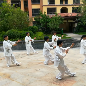 ݶŷ޳Ƕ24ʽ̫ȭ-ɽñĽ̫ȭƵ ...