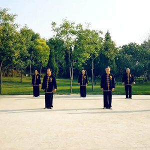 ֣̫ȭзֻ-ɽñĽ̫ȭƵƷ