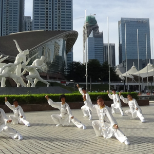 ֲ̫ ̫ϼ-ɽñĽ̫ȭƵ ...